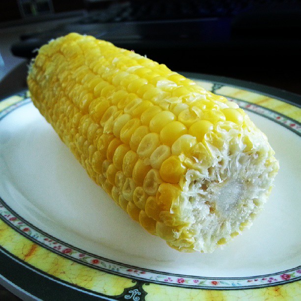 an image of corn on the cob