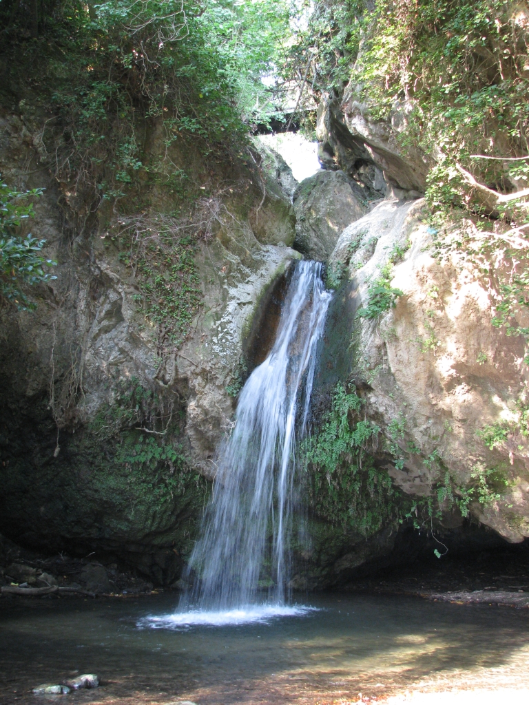 a large waterfall in the middle of a forest