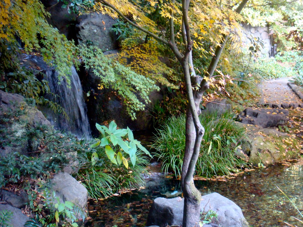 a small waterfall in the middle of some trees and bushes