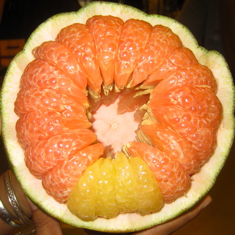 a fresh, cut, ripe watermelon containing many large flowers