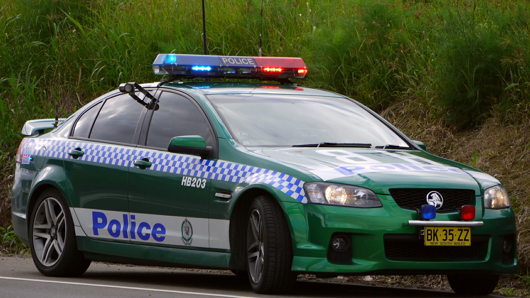 a police car sitting in front of a grassy field