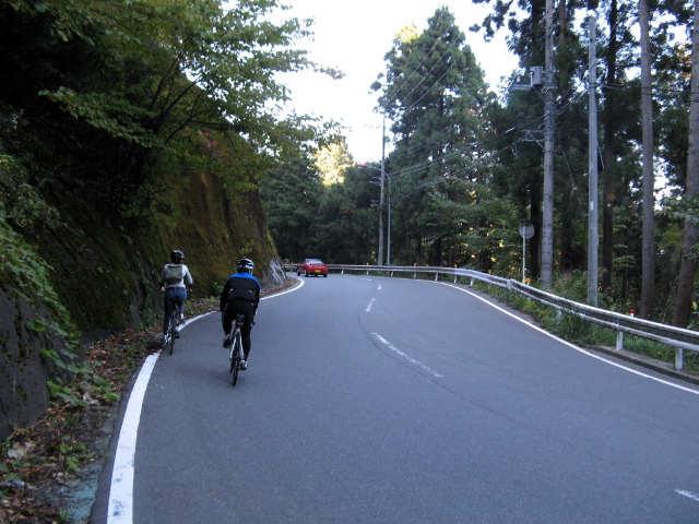 a couple of people on bicycles ride down the road