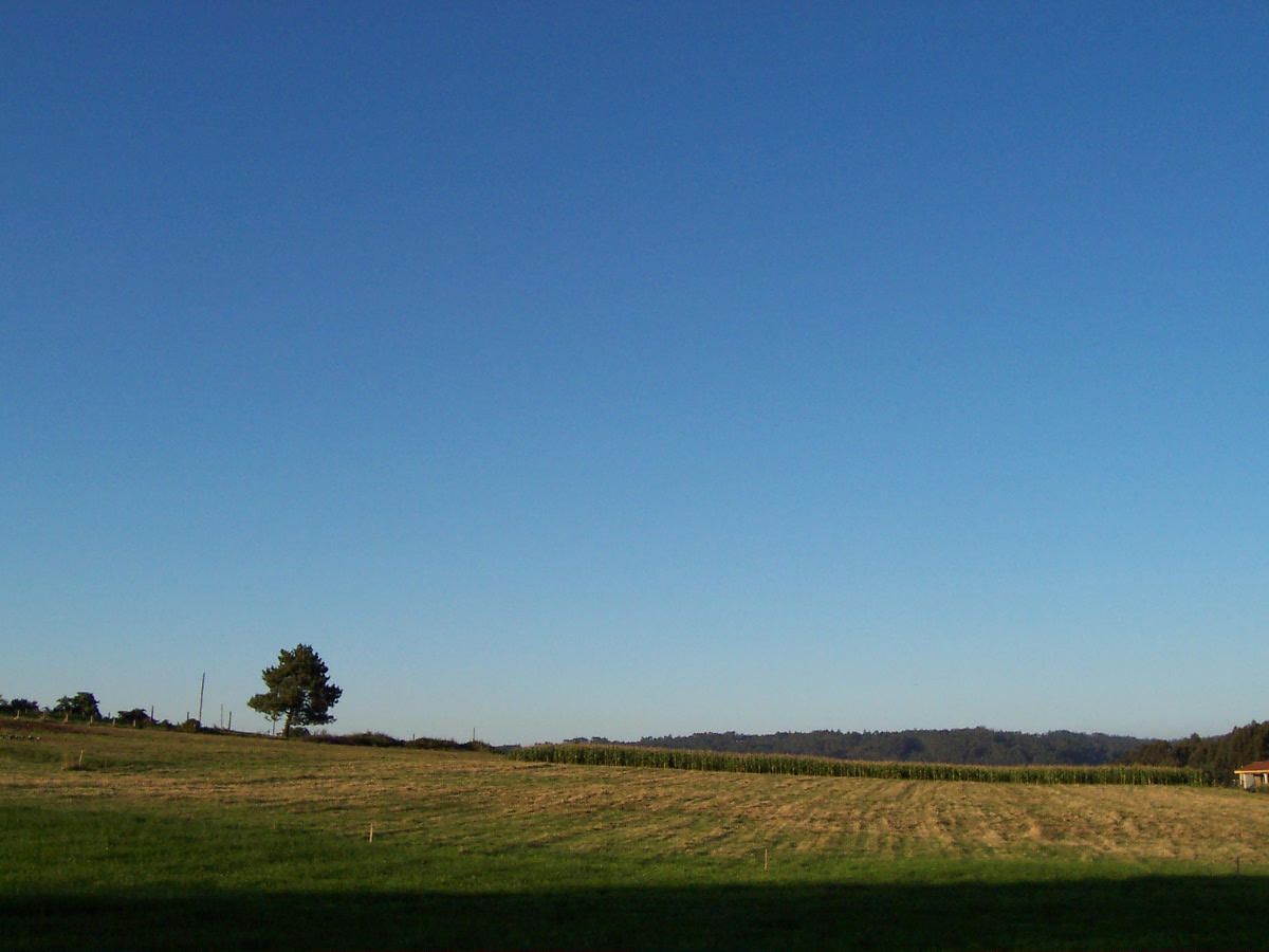 some green fields and blue skies and a kite