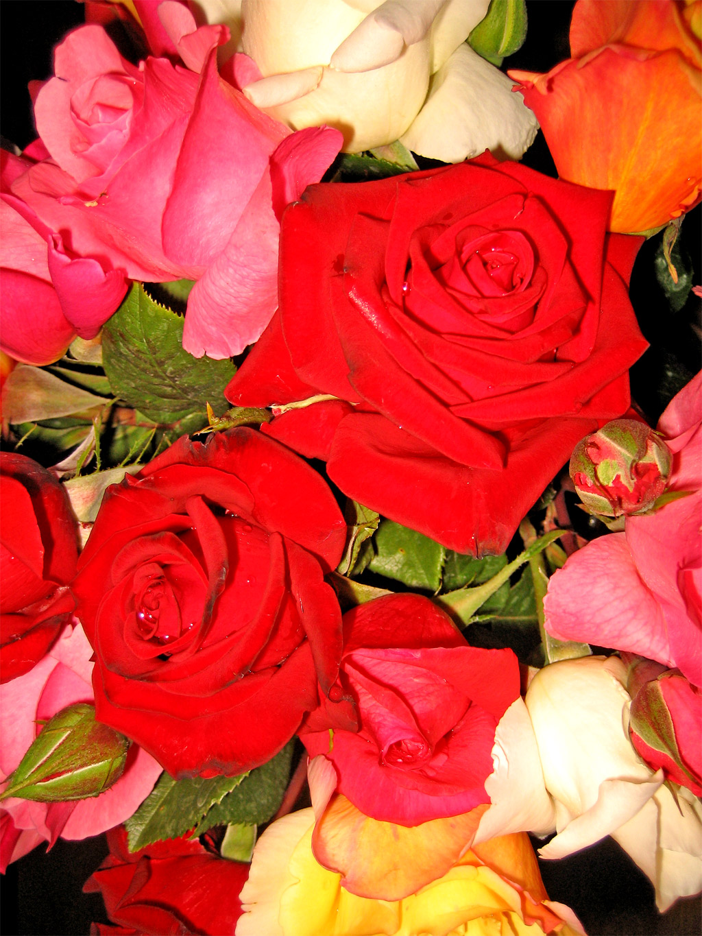 a close up image of many red and yellow flowers