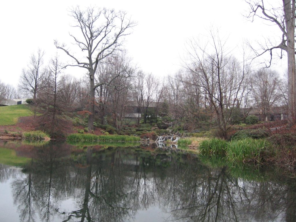 a pond surrounded by trees with no leaves on it