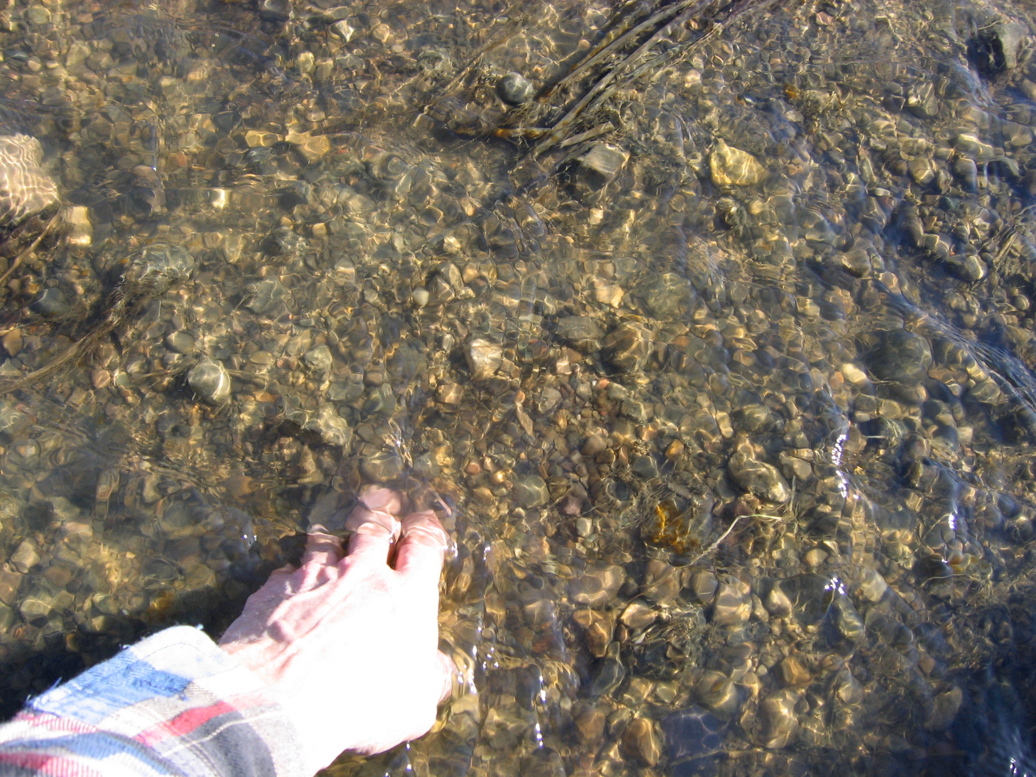 the foot of a person standing in a shallow river