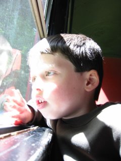 a  is riding on the train with his face near the window