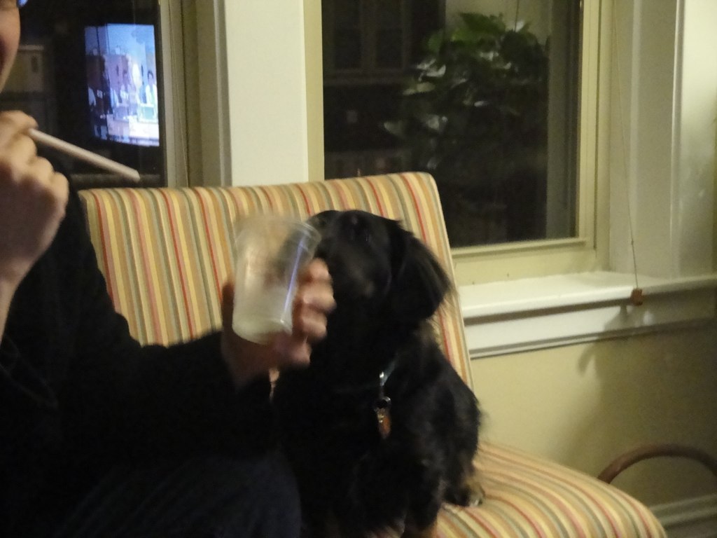 a man sitting on a couch with his dog