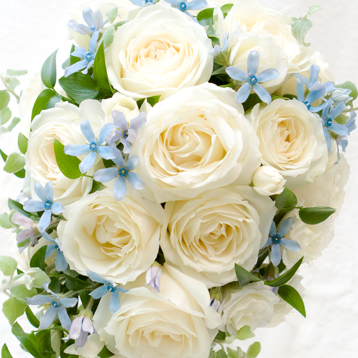 some white and blue flowers and leaves on white table