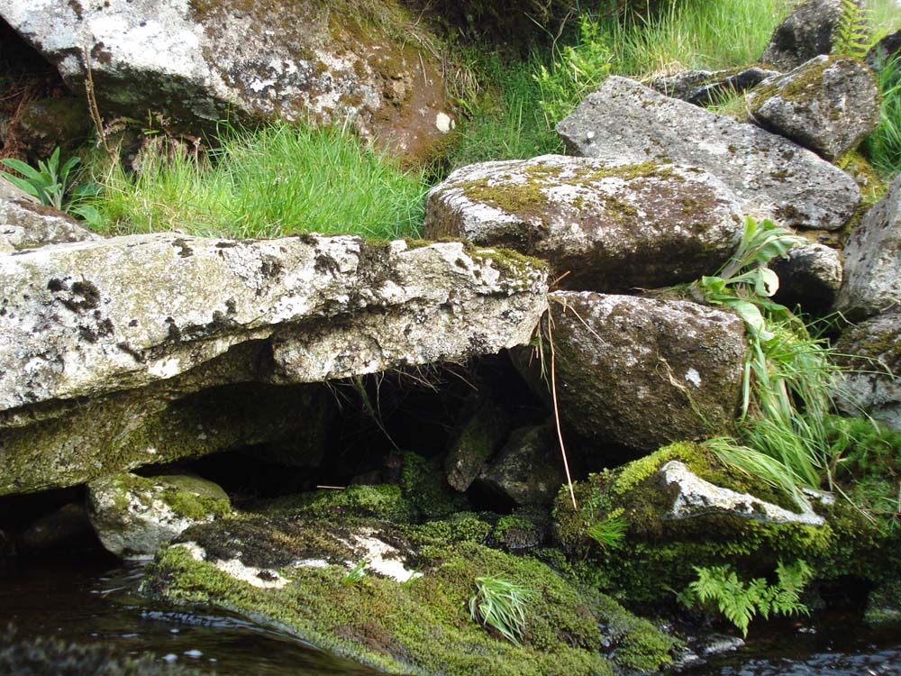 rock formations and vegetation cover a stream, grass and rocks