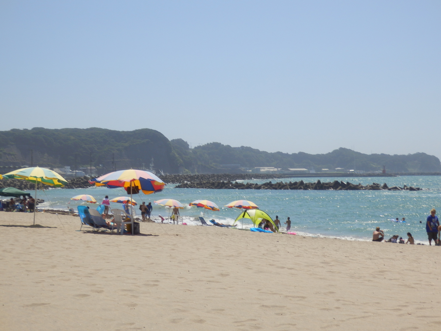 the beach has several umbrellas and a lot of people sitting on it