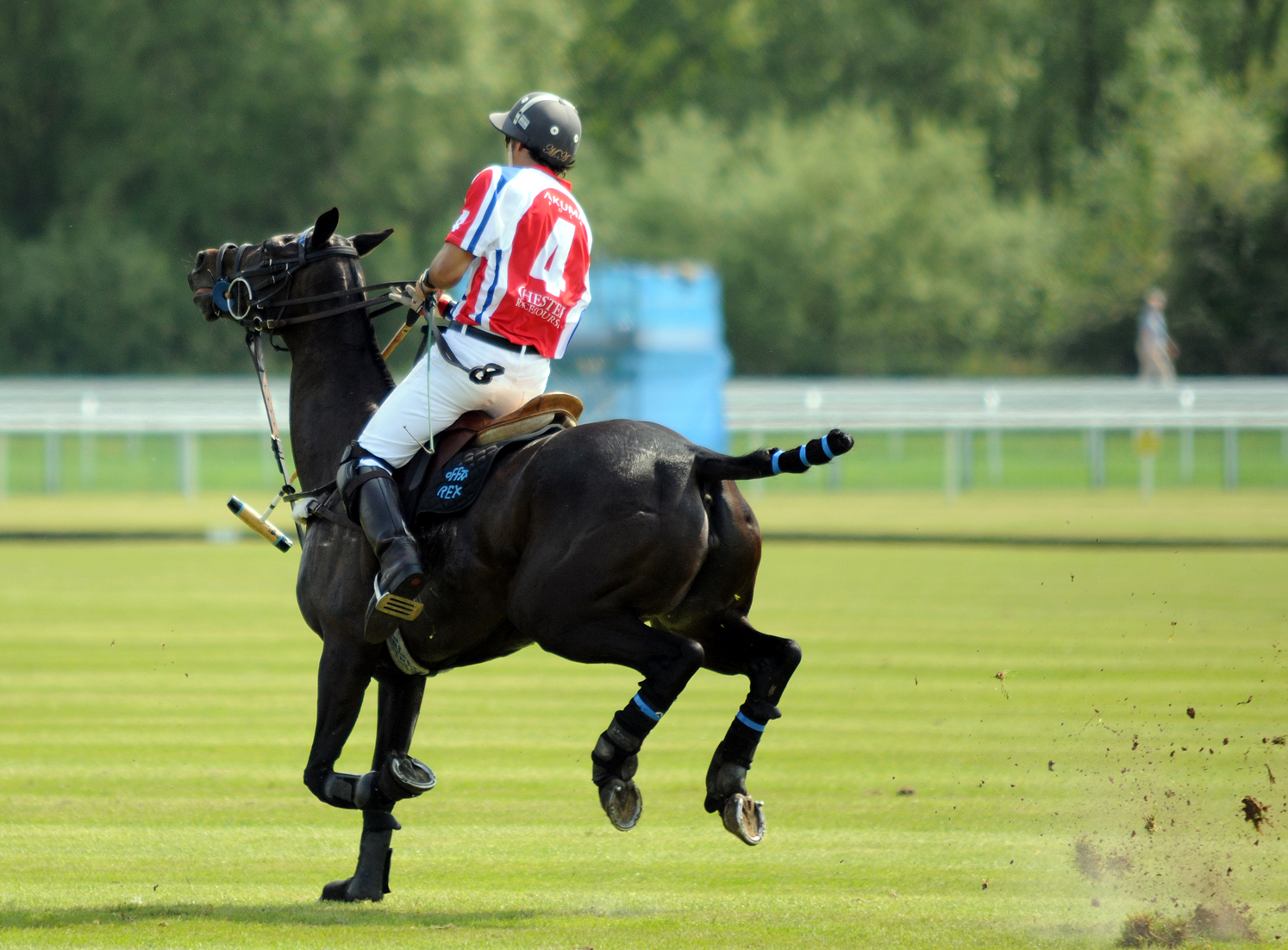 a man riding a horse on top of a green field