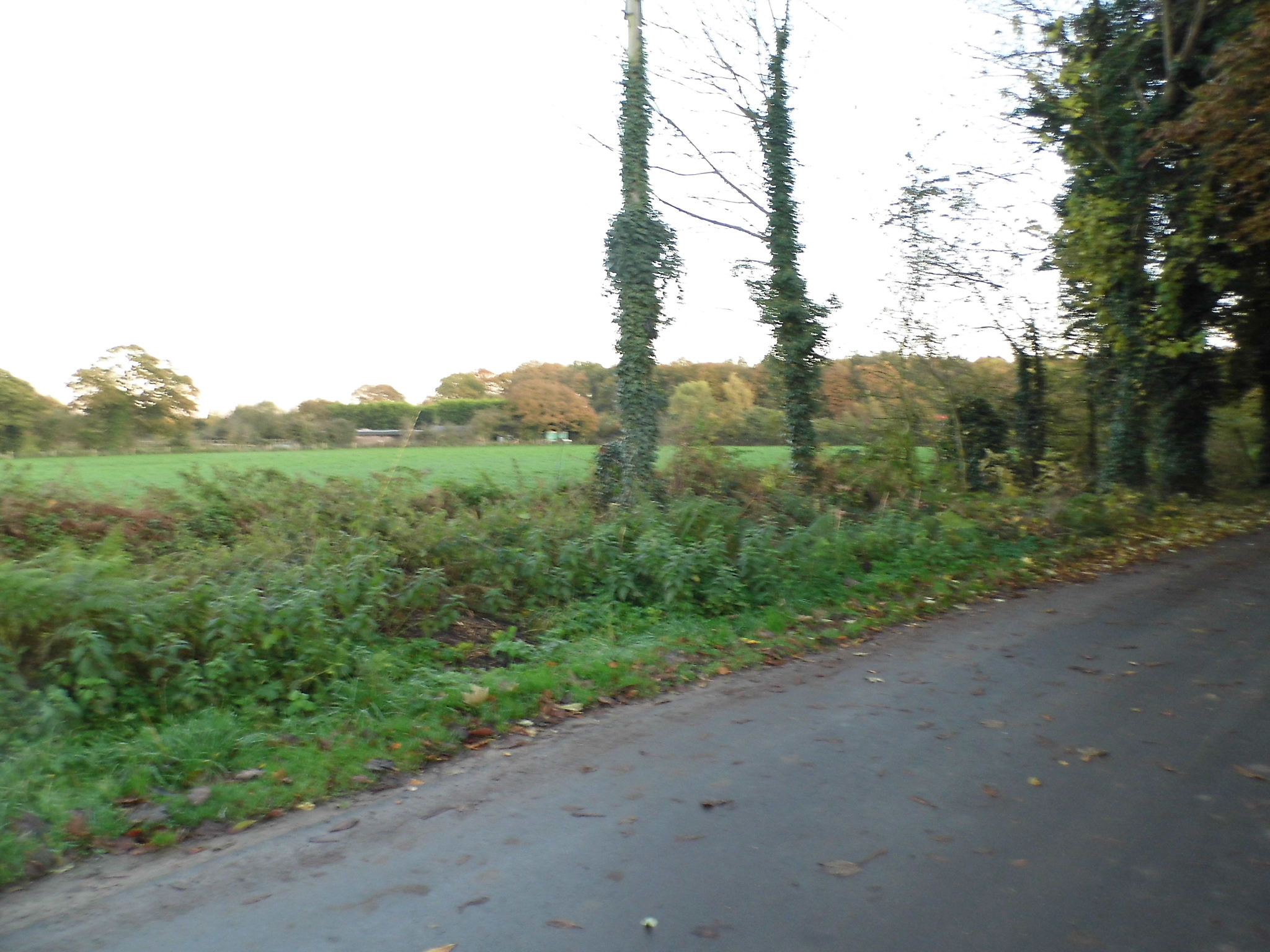an open field and road in the countryside
