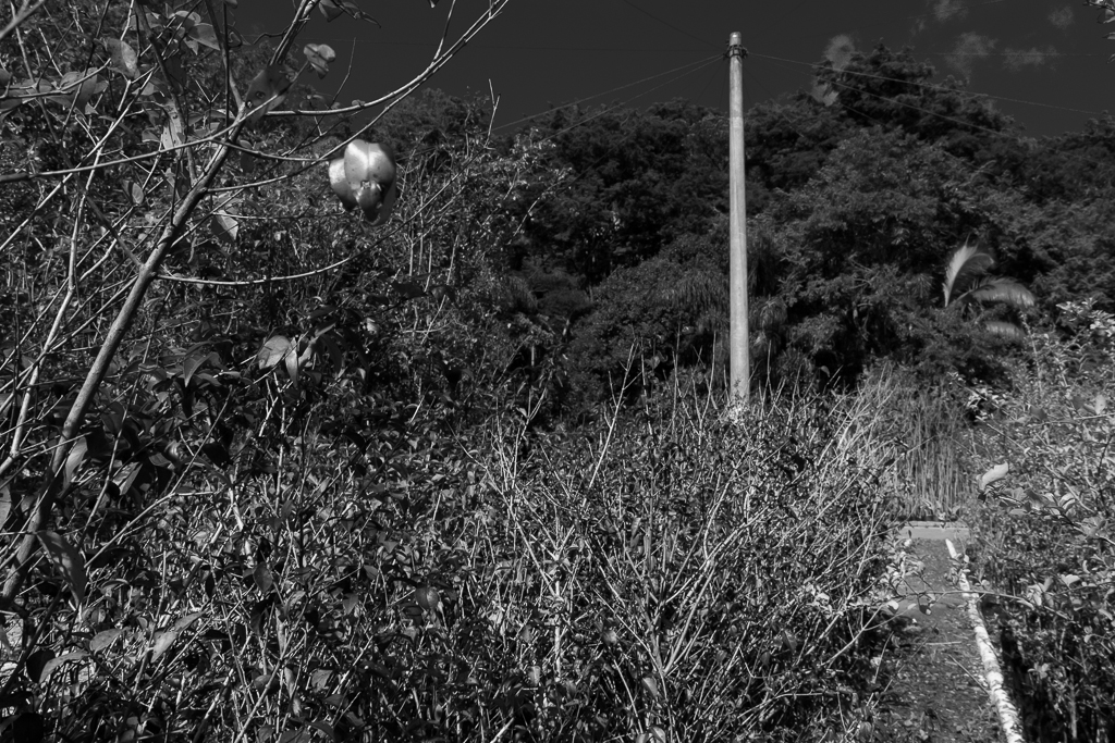 a black and white po of the top of the steep trail near to a park