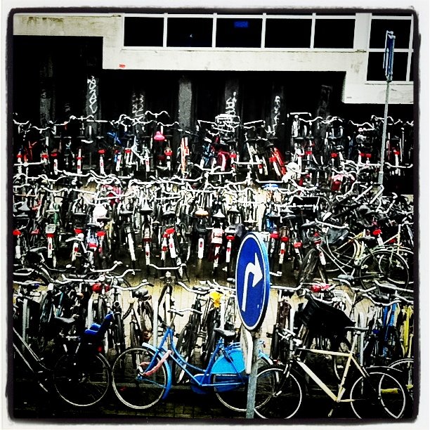 a bunch of bicycles parked next to each other