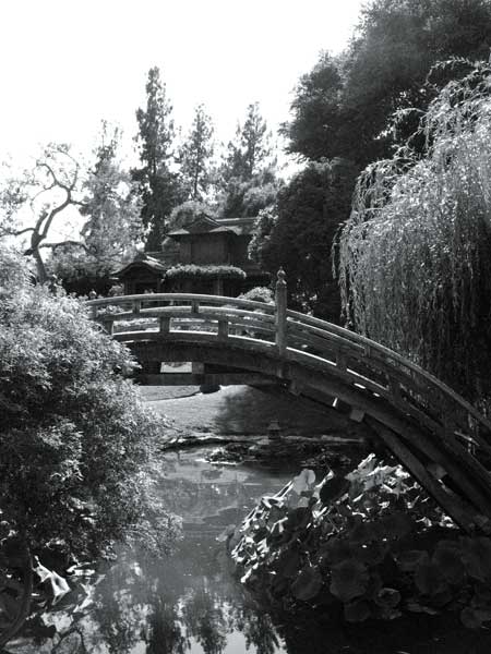 black and white po of small bridge in a garden