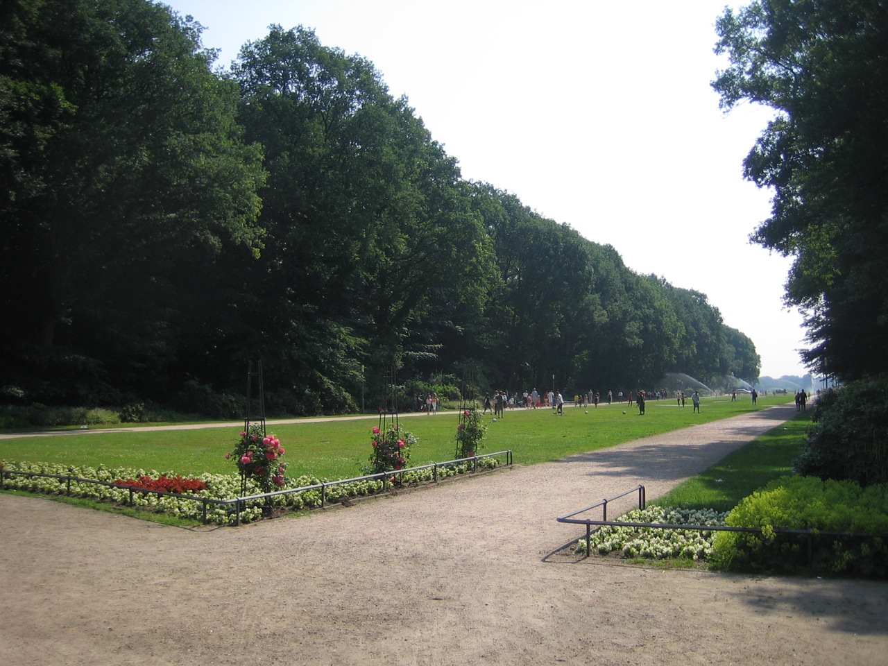 a small park lined with lots of trees