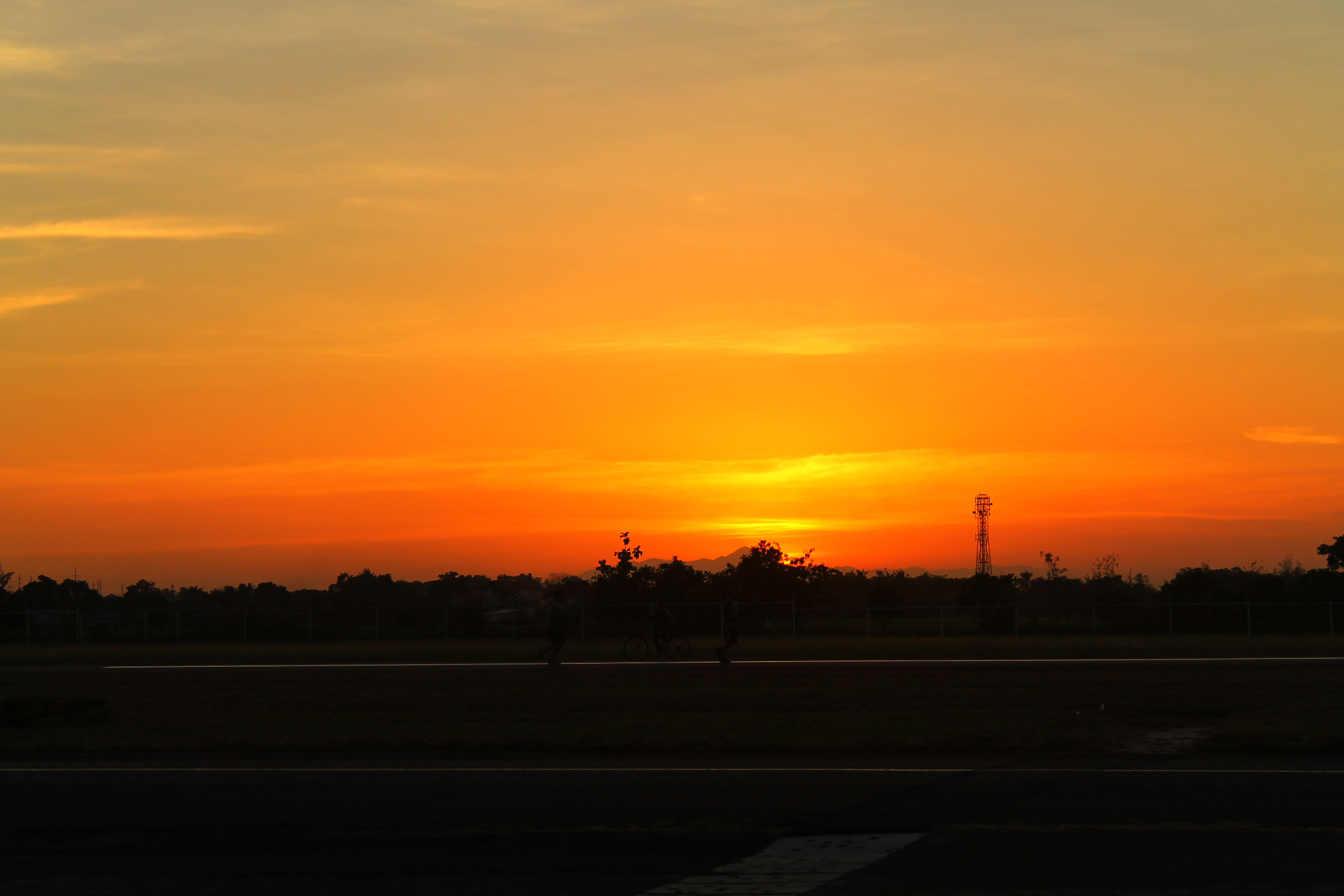 a plane is flying in the orange sunset