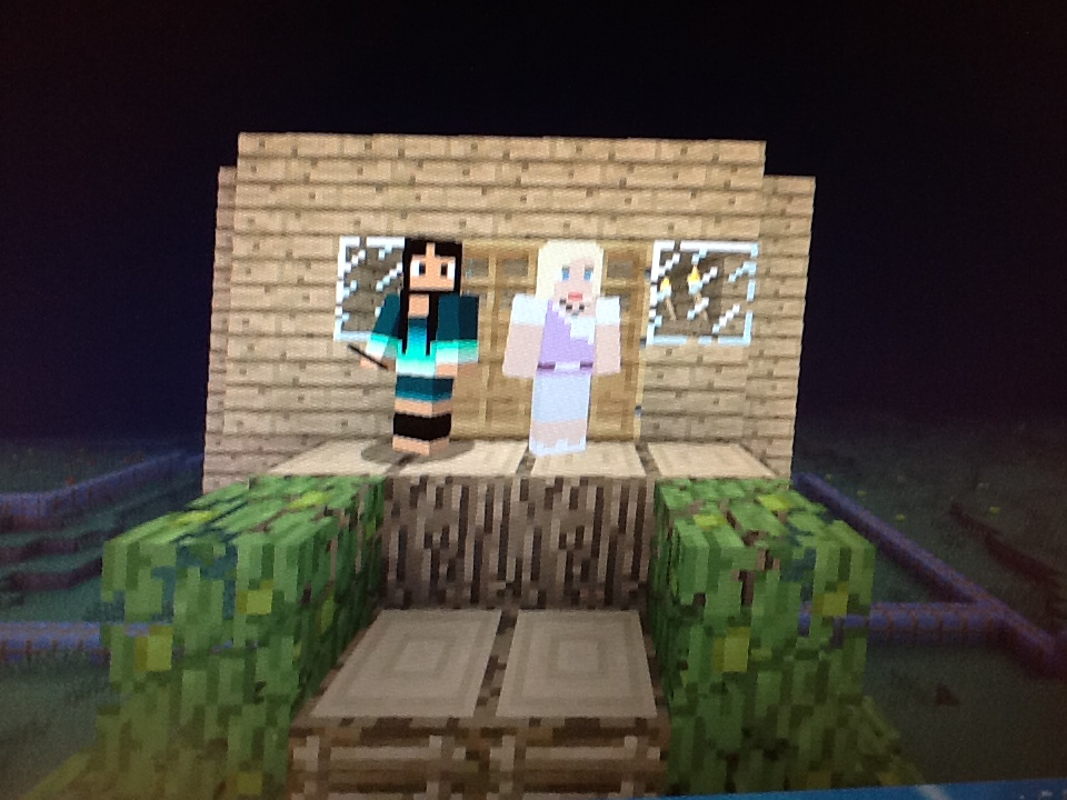 an image of a man and woman in minecraft