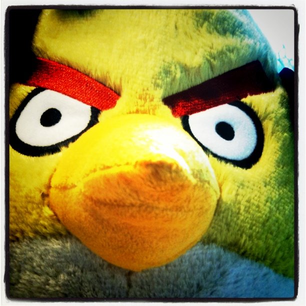 an angry bird plush toy with a red eye and beak