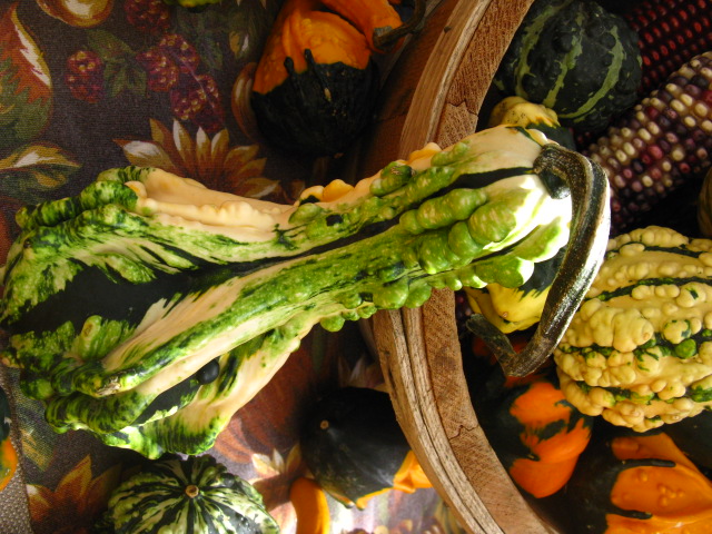 different colored gourds in a basket on table