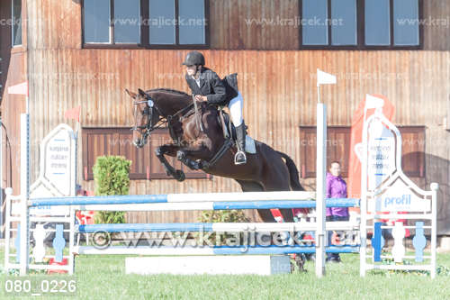 a man riding a horse jumping over an obstacle