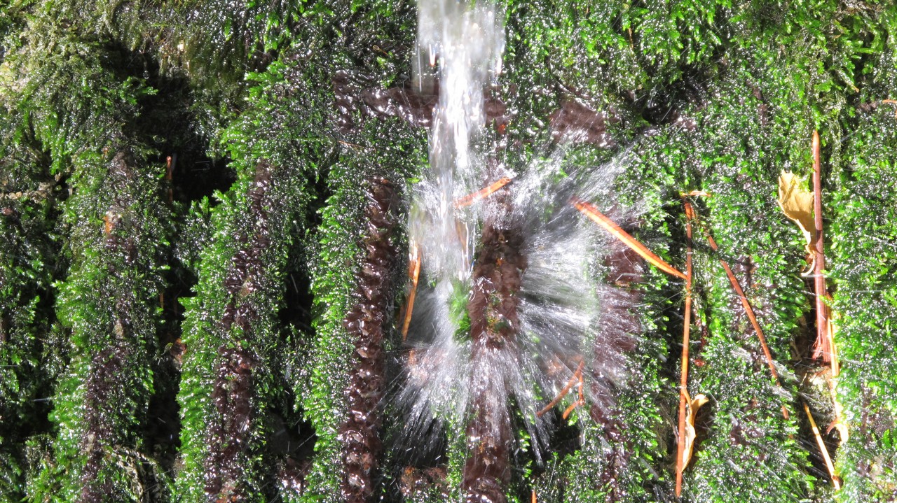 a spout of water running over a lush green hillside