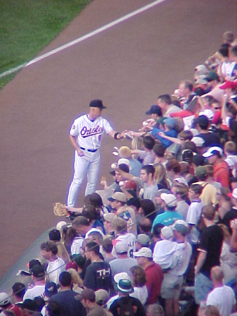 baseball player at home plate greeting on a crowded field