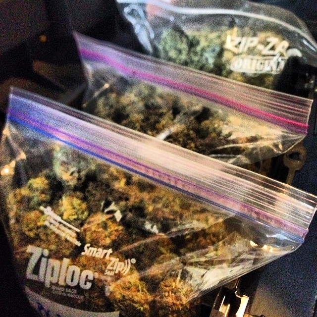 three ziplock bags filled with marijuana seeds