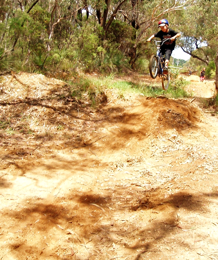 a person on a bicycle going through the woods