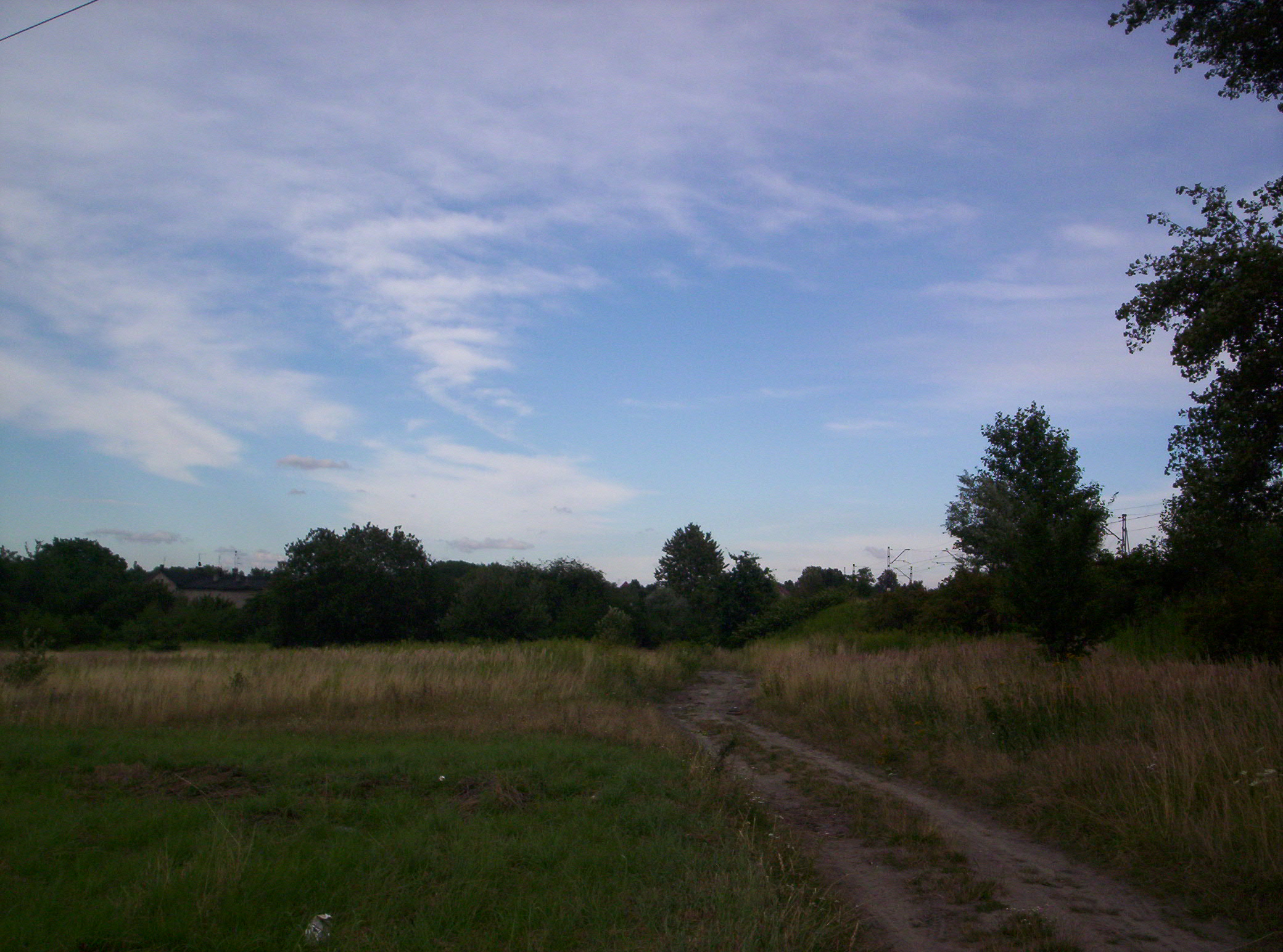 an empty country road leads to a grassy field with trees