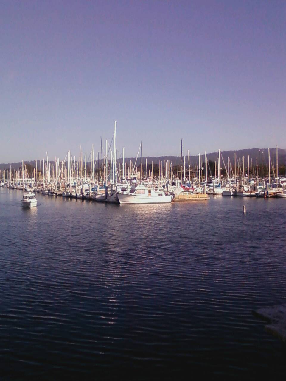 a marina filled with sail boats on top of a lake