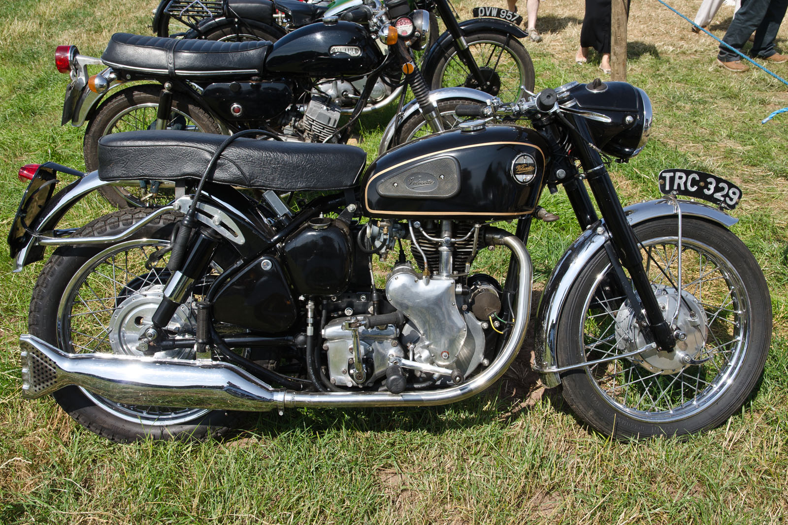 a line up of vintage motorcycle in grassy area