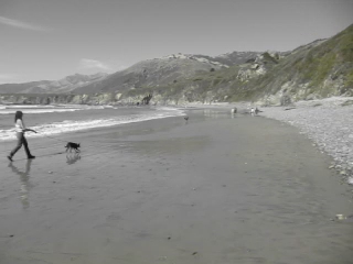 black and white pograph of woman walking dog on beach