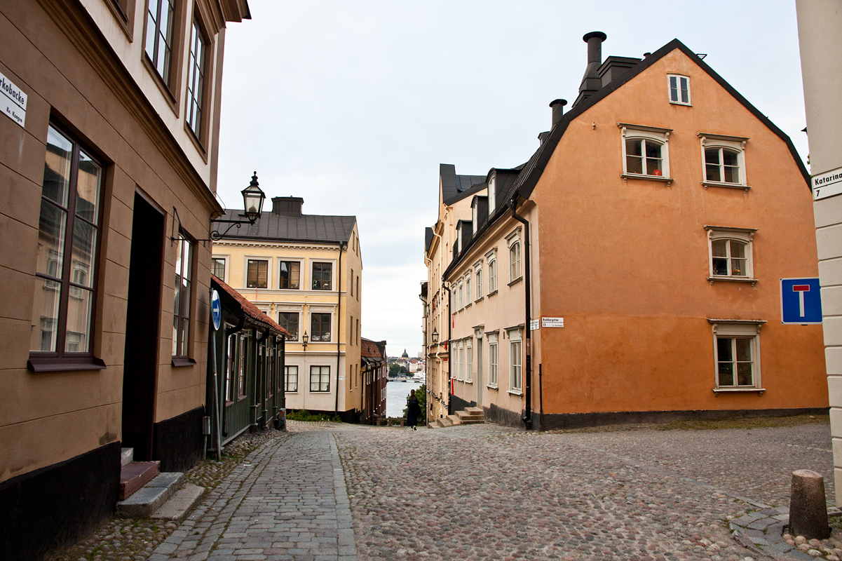 there is a cobble stone road with buildings on both sides