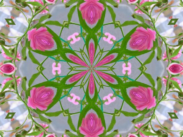 an artistic image of pink roses on green leaves