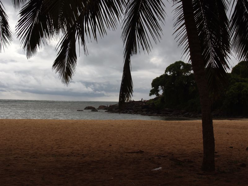 a beach with palm trees, blue water and dark clouds