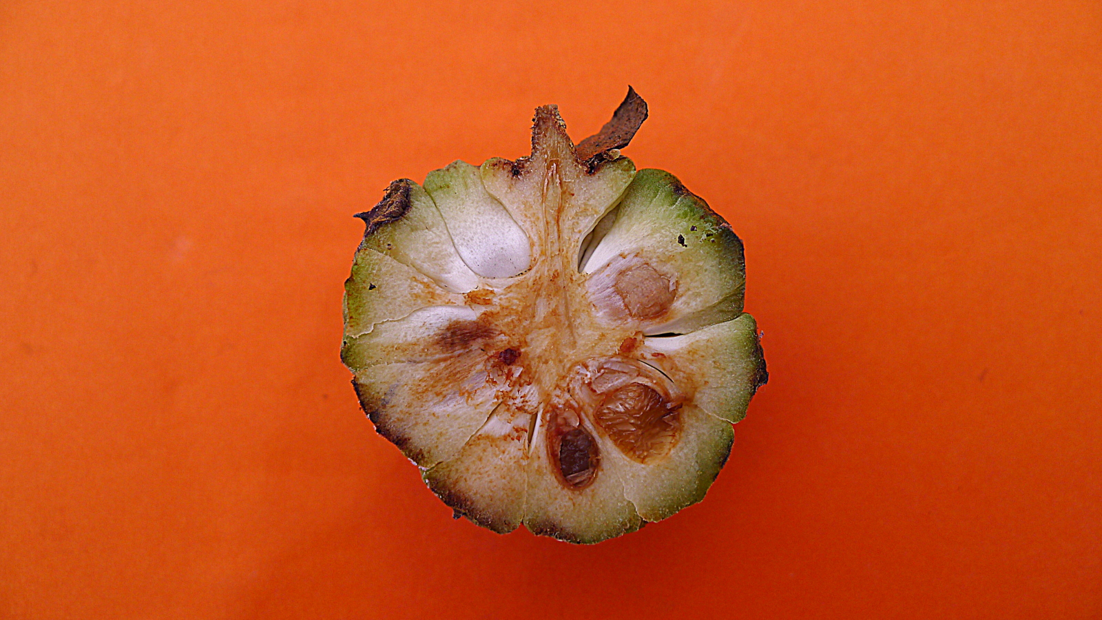 the fruit is split open and ready to be eaten