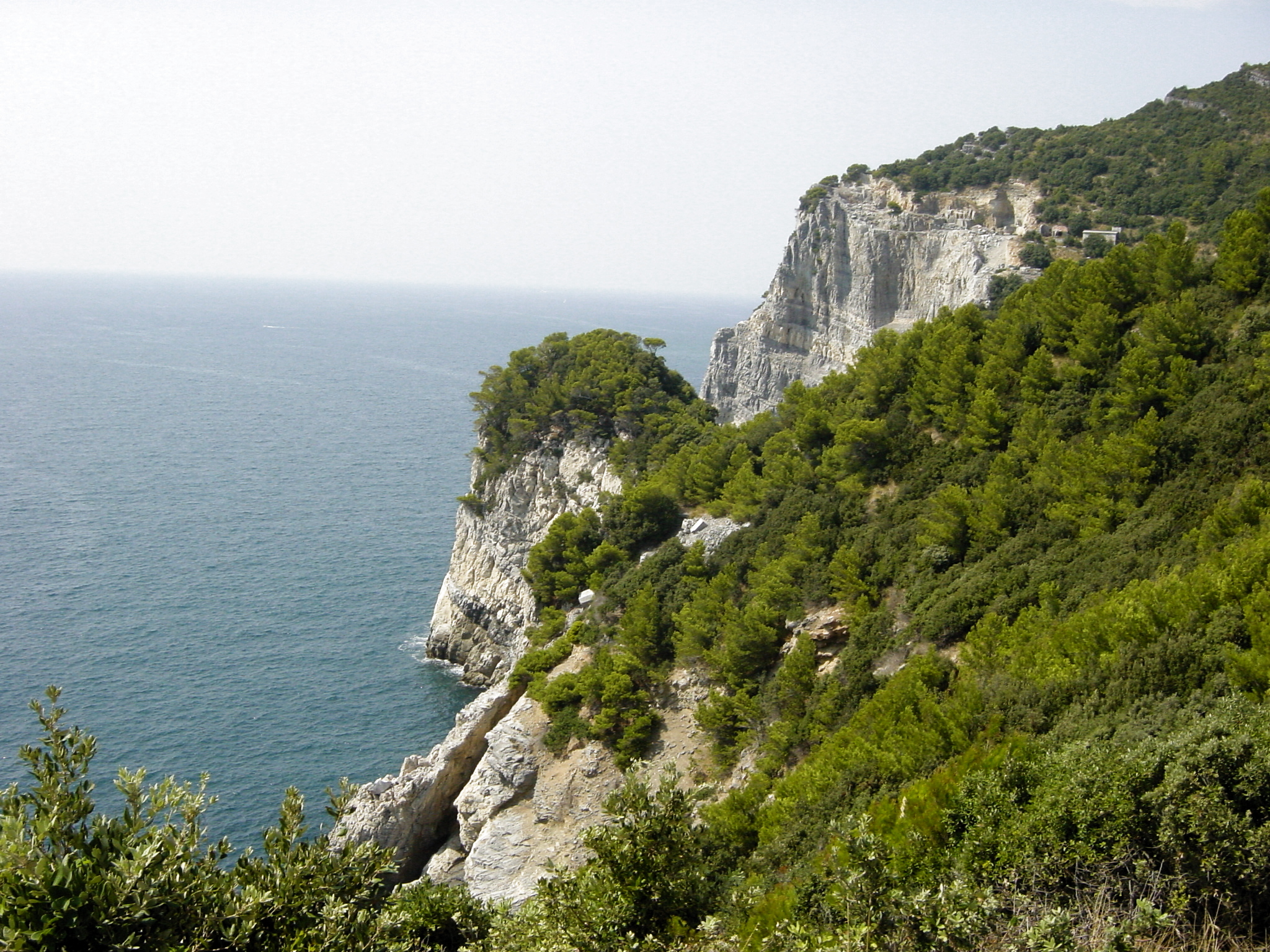 some cliffs with some trees on them near the water