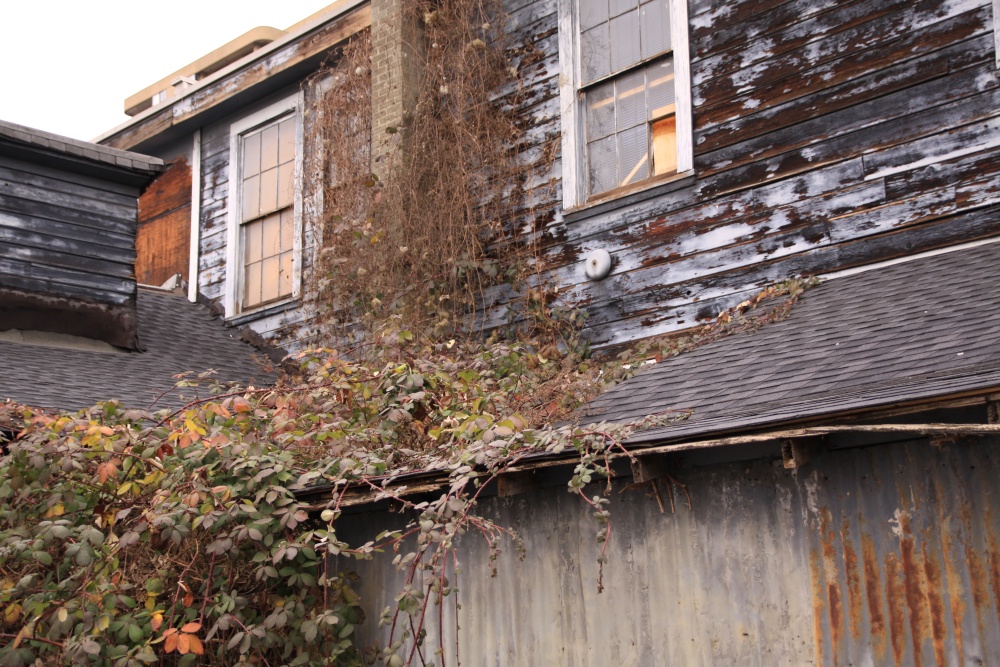 a house has an old wooden facade and ivy