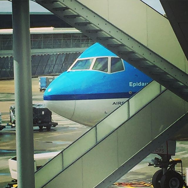 the front side of a blue airplane at an airport