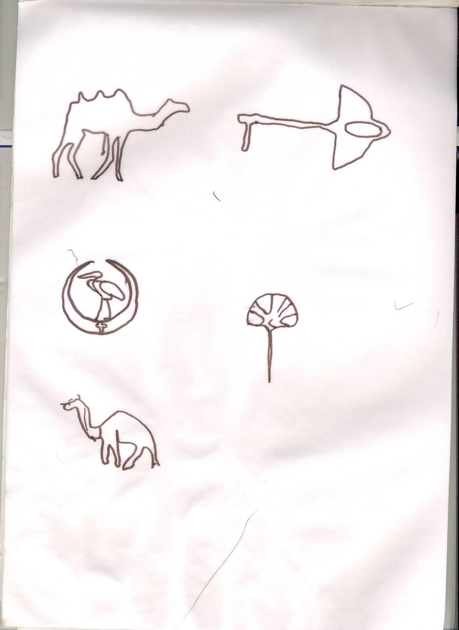 the paper is white and black, with the outlines of different animals on it