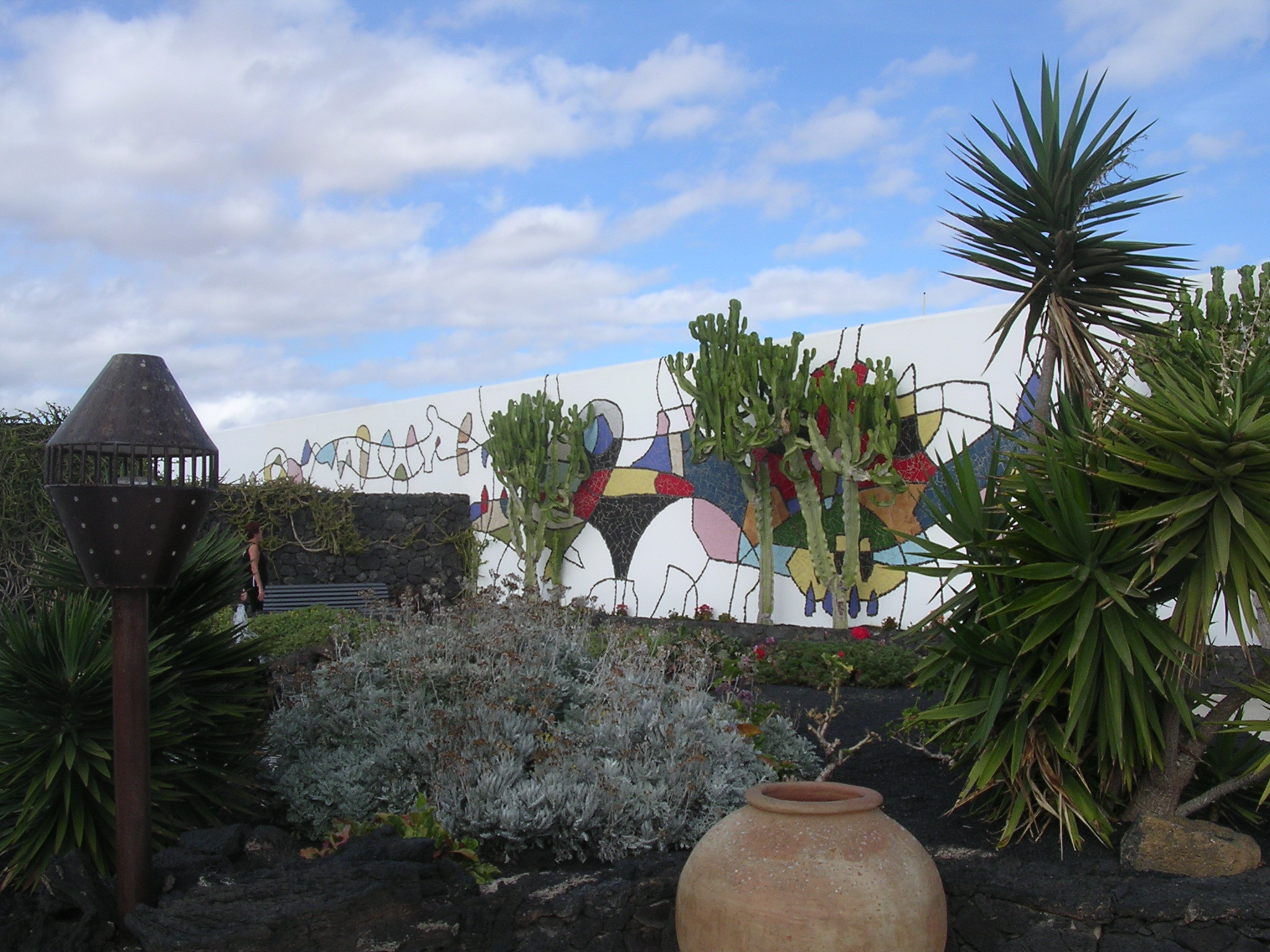 some potted plants and some trees by the wall