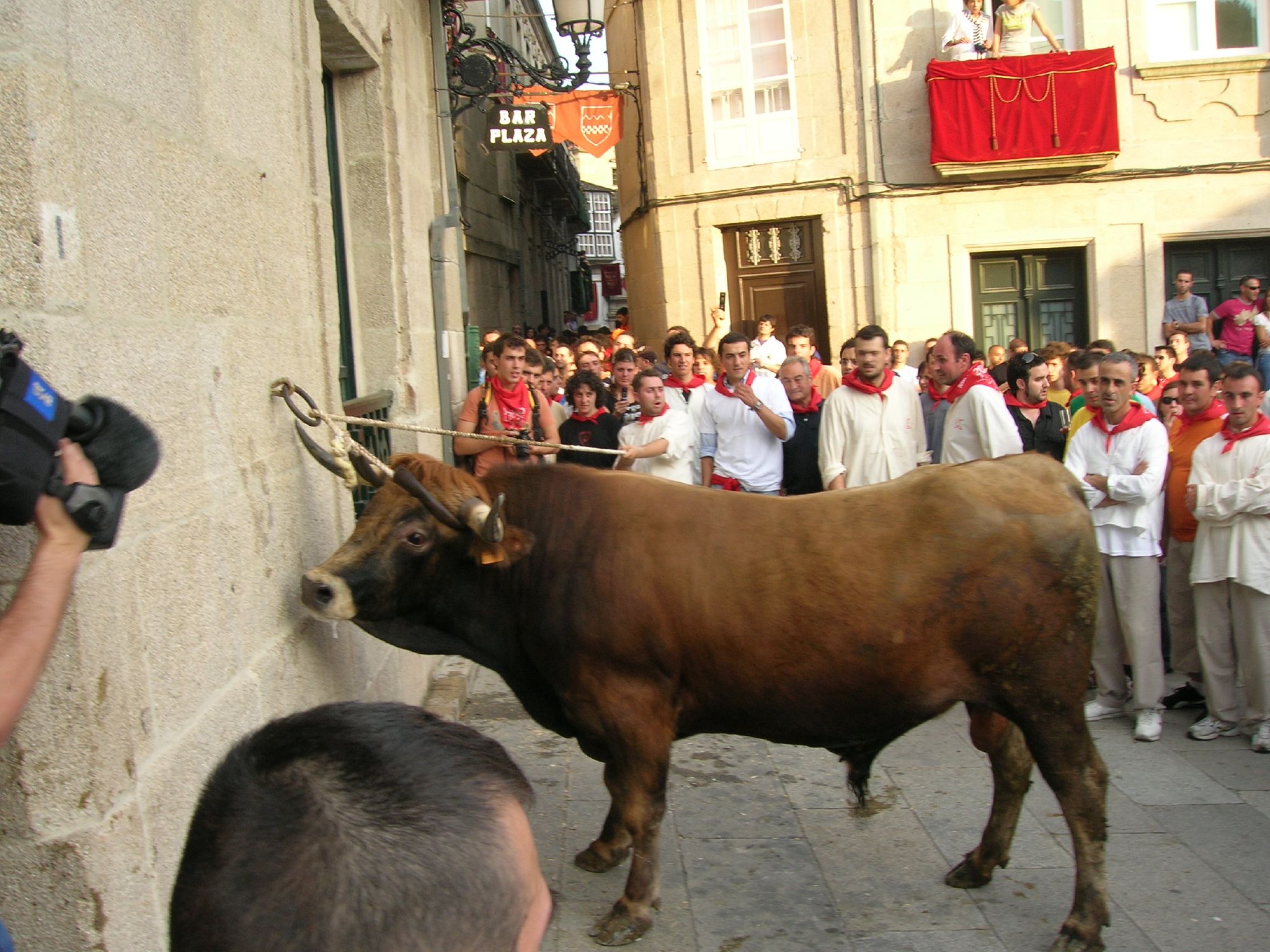 the young bull is tied to a wall by a crowd