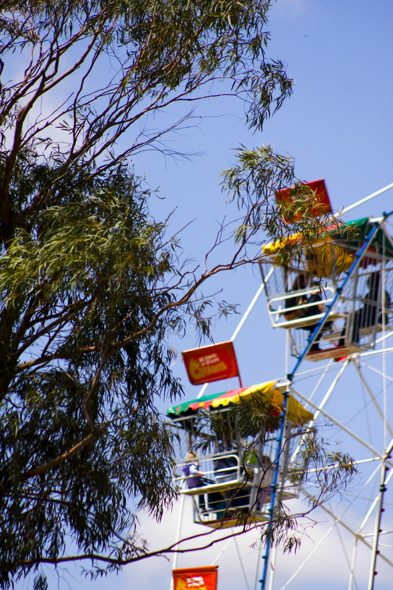 a ferris wheel with four seats next to a tree