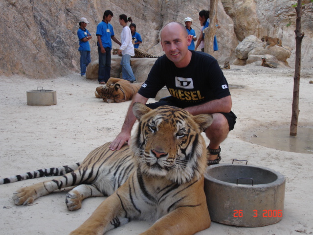 a man is petting a tiger at a zoo