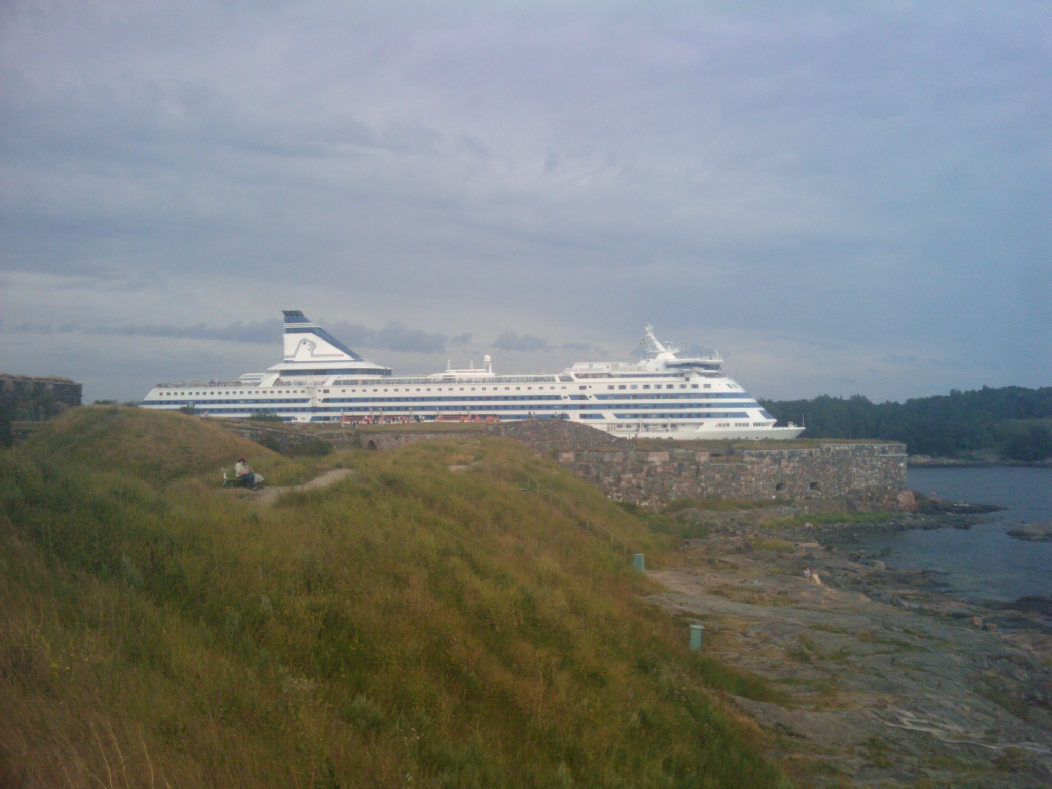 cruise ship anchored in the bay near a grassy area