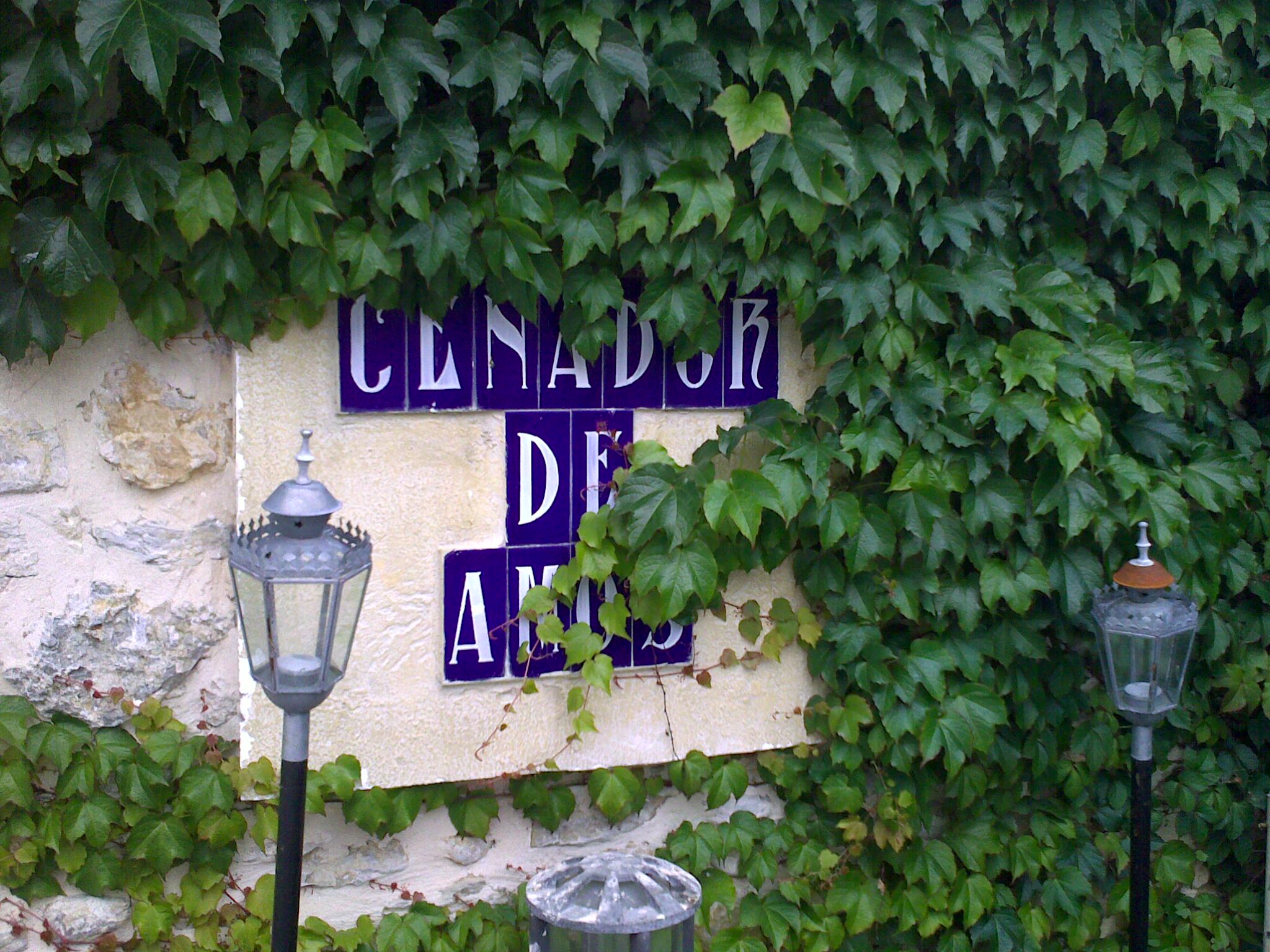 a city street sign on a ivy covered wall