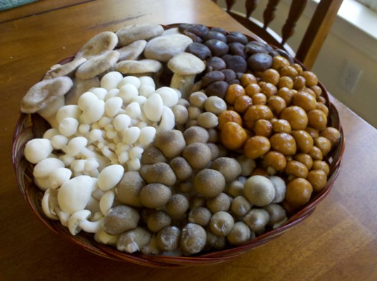 a bunch of rocks arranged in a bowl