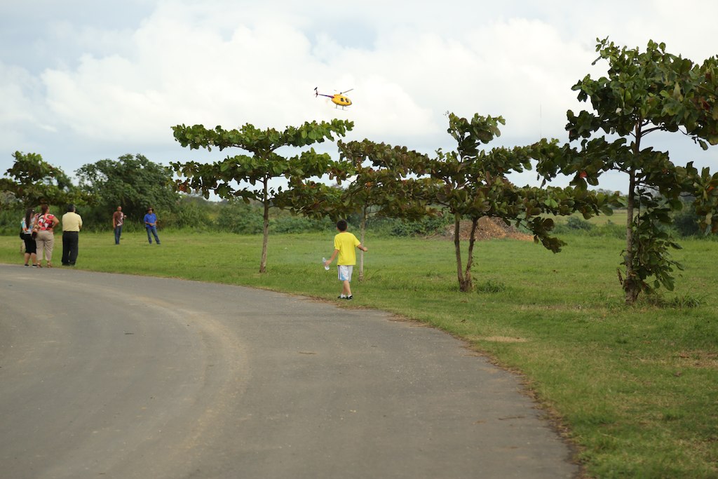 many people walk down the street to catch a kite